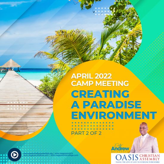 CREATE A PARADISE ENVIRO PART 2 (VIDEO)