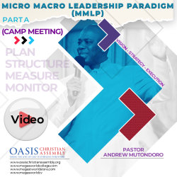 MICRO MACRO LEADERSHIP PARADIGM PART A
