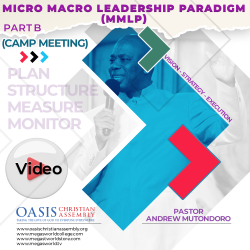 MICRO MACRO LEADERSHIP PARADIGM PART B