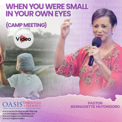 WHEN YOU WERE LITTLE IN YOUR OWN EYES