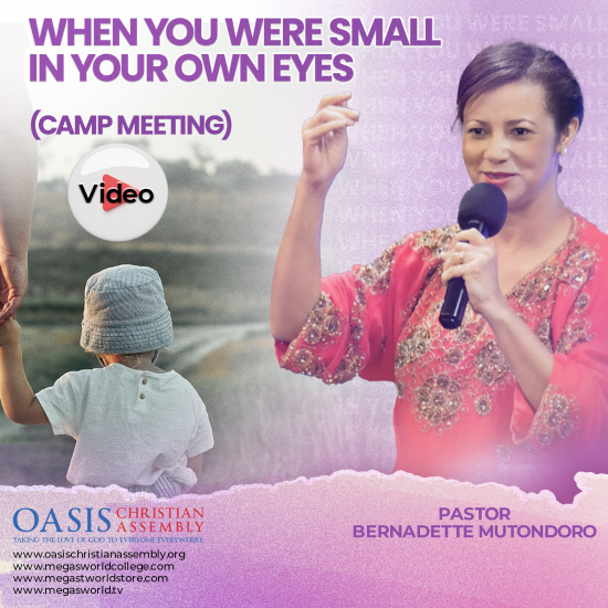 WHEN YOU WERE LITTLE IN YOUR OWN EYES