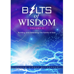 Bolts Of Wisdom Vol 2 (E-Book)