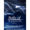 Bolts Of Wisdom Vol 1 (E-Book)