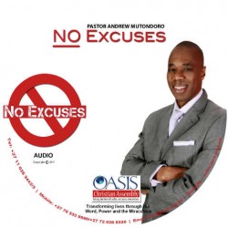 No Excuses (audio)