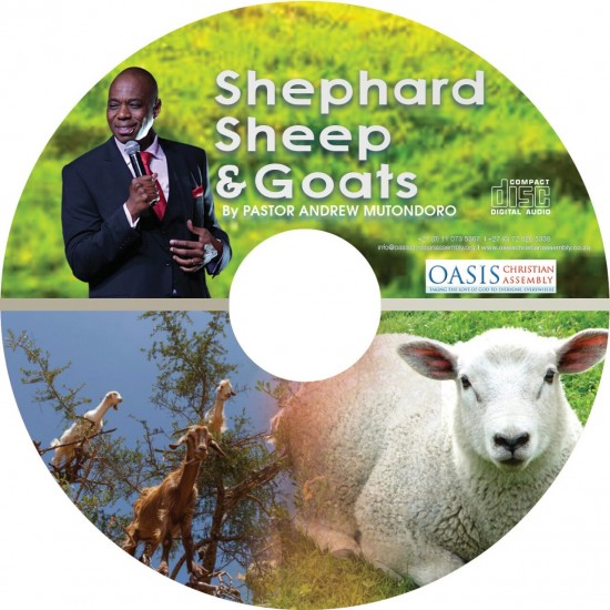 Sheep, shepherd and goats (Audio)